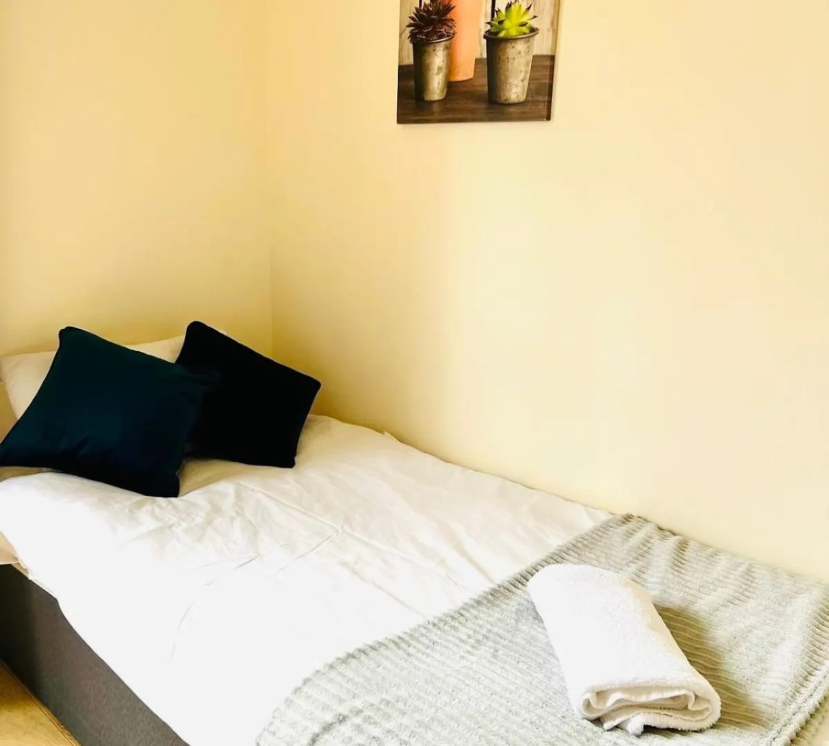 Comfortable One Bedroom Flat In London Apartment